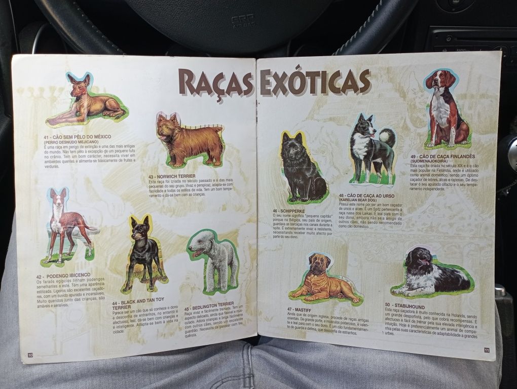 Caderneta O teu melhor amigo Bollycao