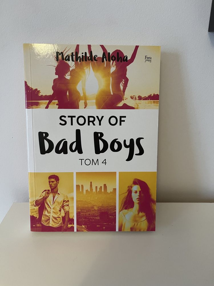 Story of bad boys tom 4