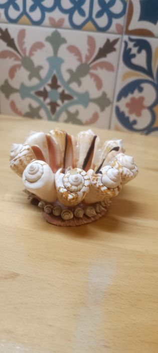 Koszyk z muszelek uszkodzony pamiątka