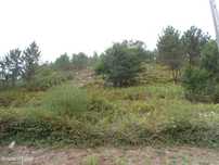 Lote de terreno