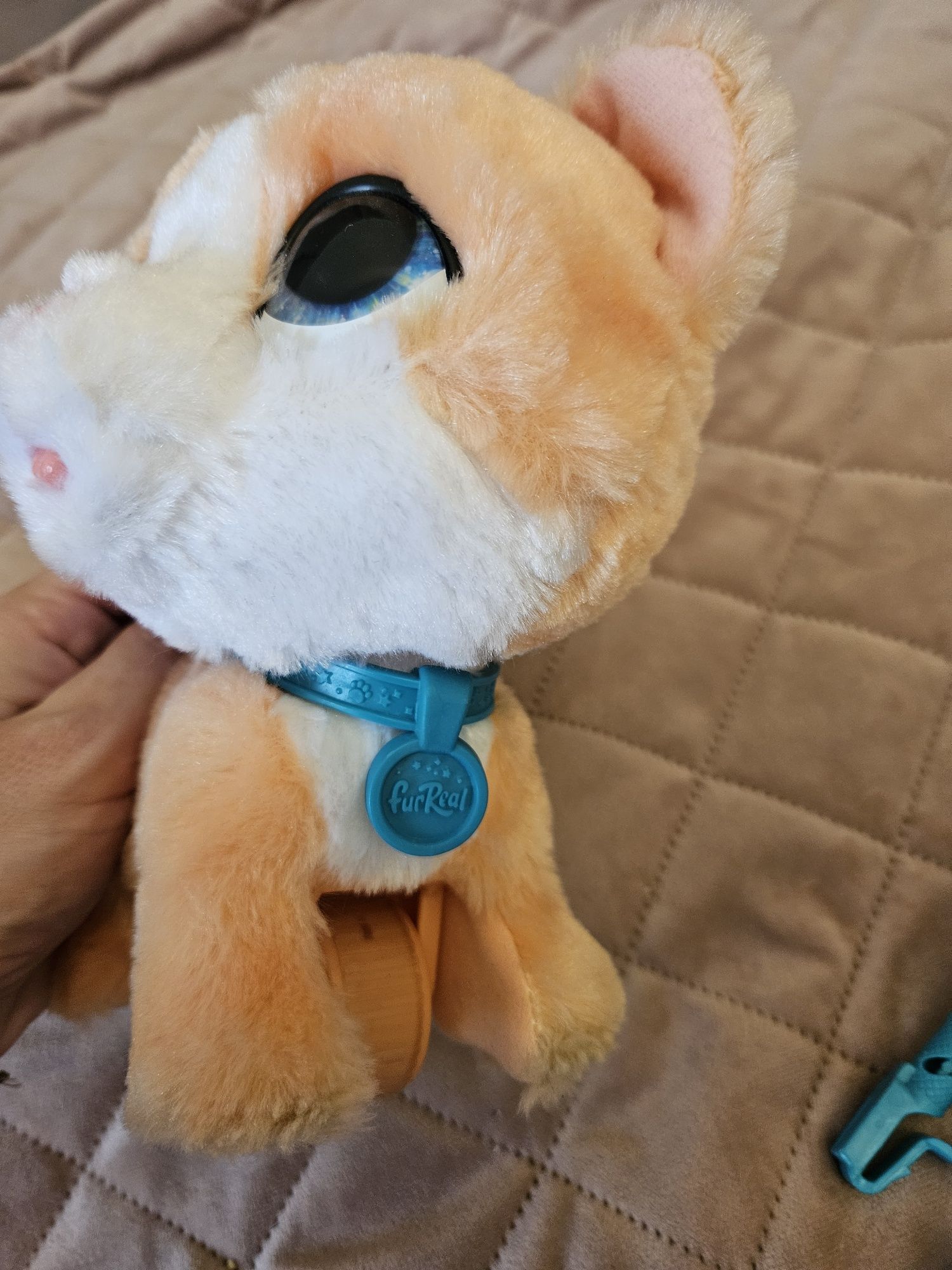 Kot interaktywny Hasbro Furreal Walkalots kotek na smyczy 

H
