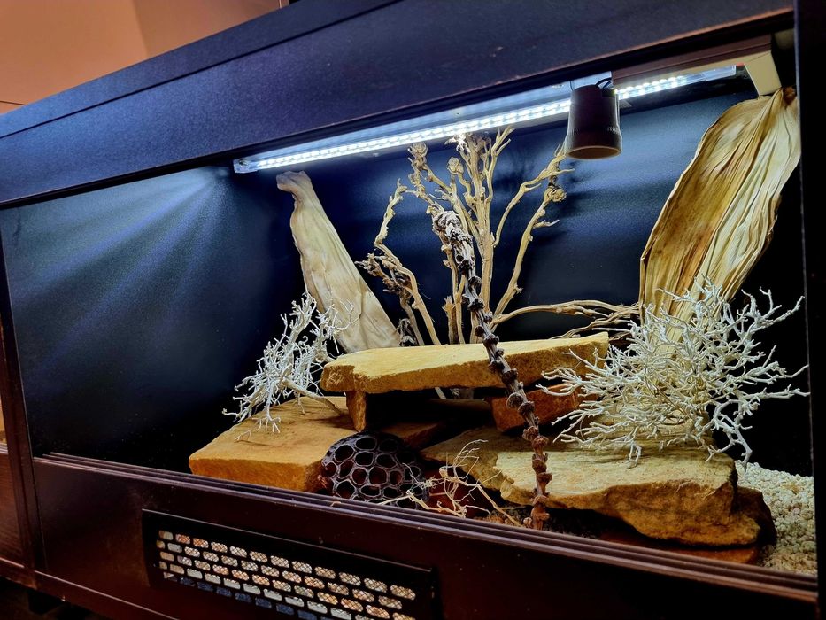Terrarium 60x40x40 dla gekona agamy legwana węża żółwia