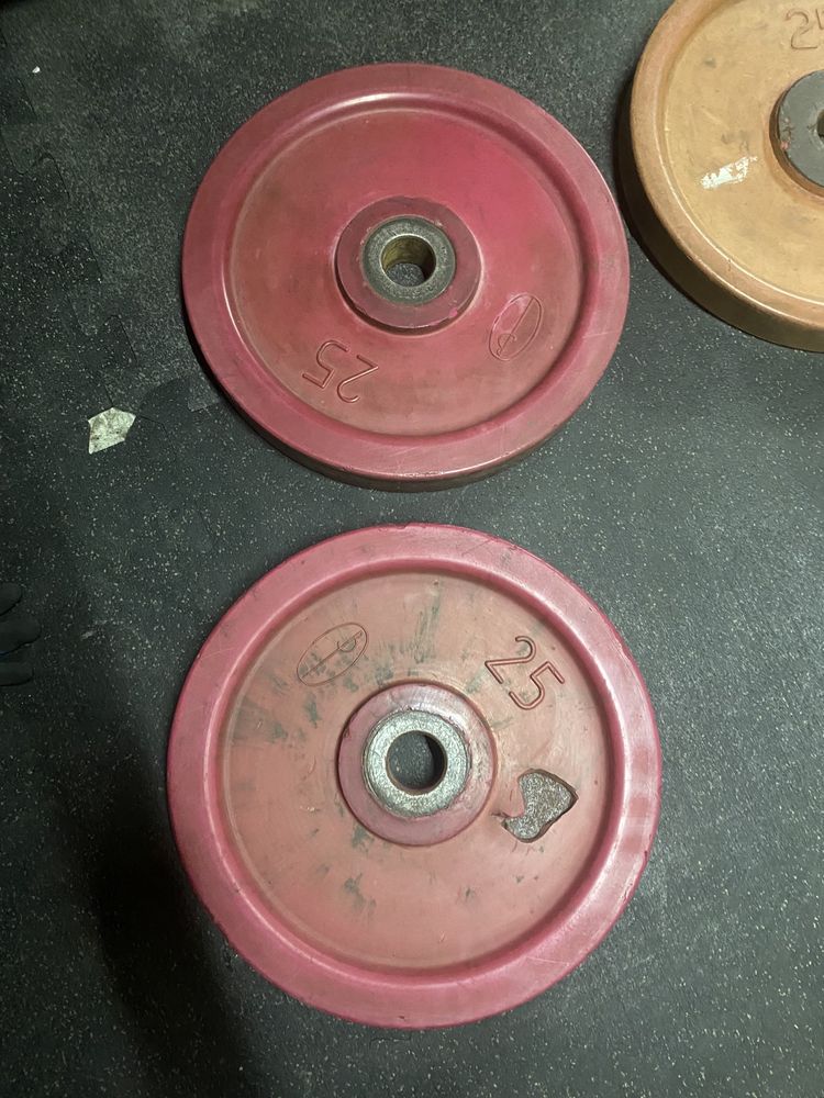 2x25 kg polsport vostok - WYSYŁKA OLX