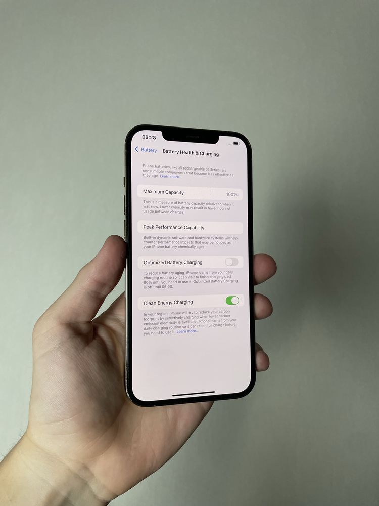 iPhone 12 Pro Max 256 GB NeverLock
