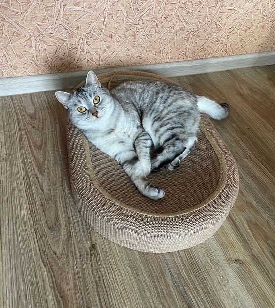 Когтеточка-лежанка 2-в-1 для котів – зручна з м'ячиком
