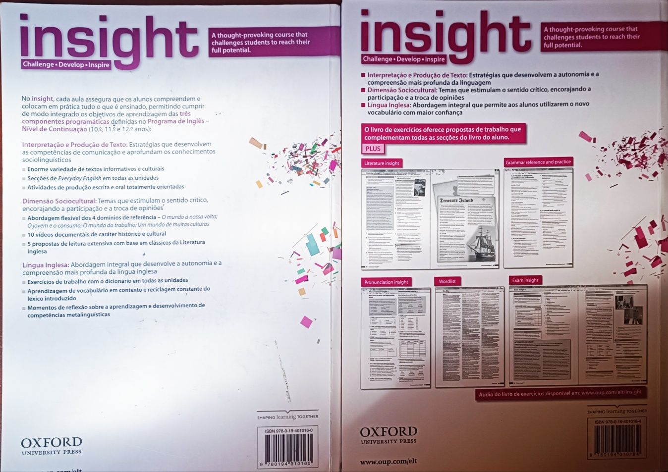 Livros de inglês Insight 11 ano