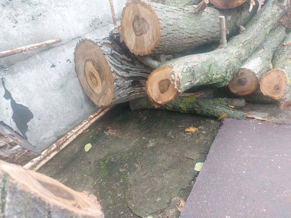 Стовбур горіха 8 шт діамтр різний самовивіз