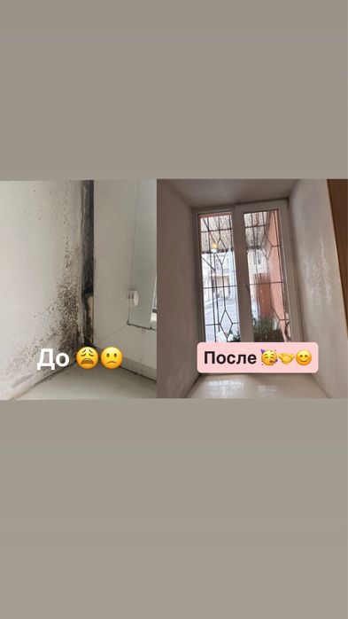 ‼️Удаление плесени - устранение грибка с гарантией на 3 года! Под ключ