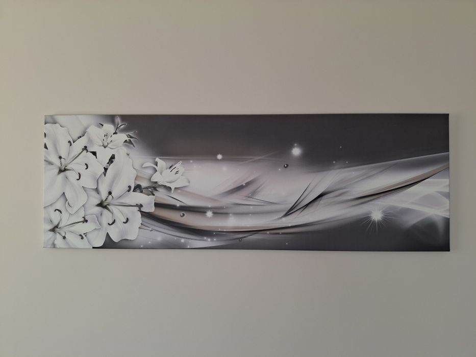 Obraz na płótnie 135x45