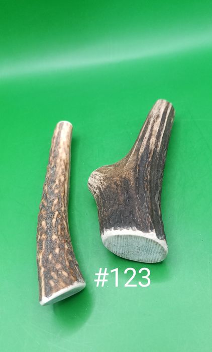 Gryzaki z poroża jelenia 2 sztuki 14/12 cm  M #123