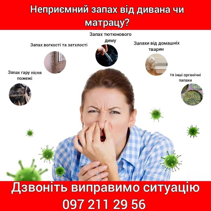Професійна хімчистка м'яких меблів та коврових покриттів