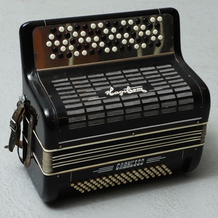 Akordeon Hagström bez walizki