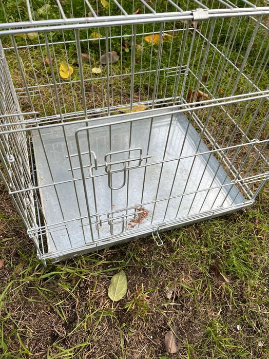 Metalowa klatka dla psa