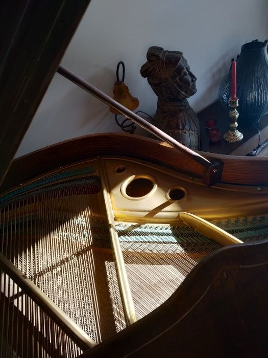 Piano de cauda Extremamente Raro