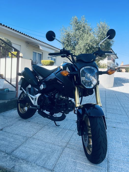 Honda msx 125 grom