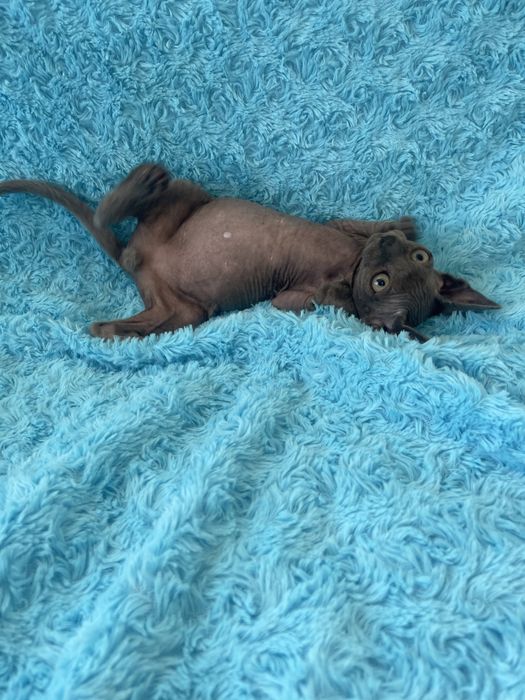 Хлопчик Кокос