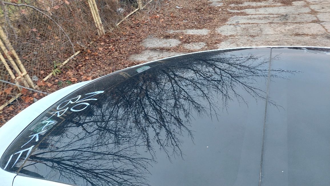 Панорама задня Tesla model 3