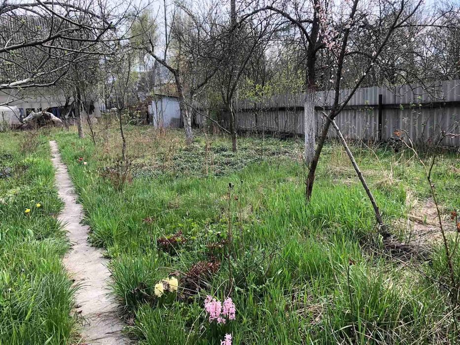 Продається дача у Фастівському районі. село Мотовилівка