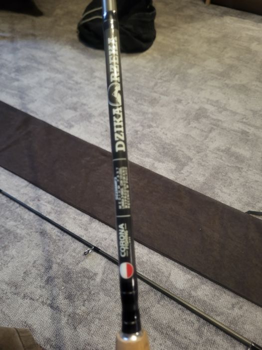 Wedka corona fishing dzika rzeka
