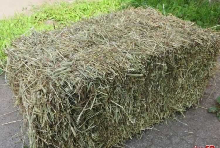 Siano mala kostka 2025 TRANSPORT