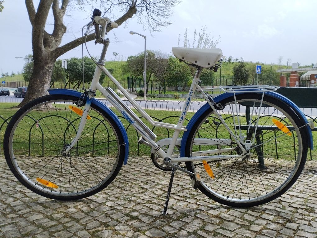 Vendo bicicleta pasteleira senhora.