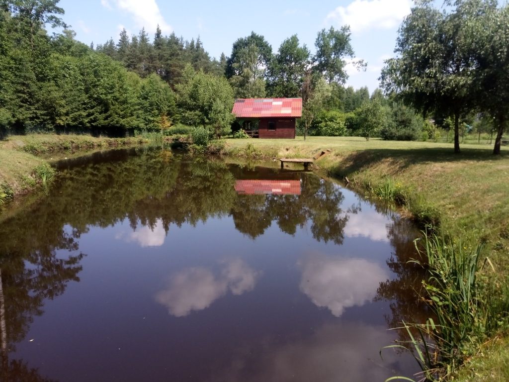 Łowisko wędkarskie staw komercja