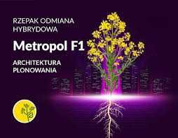 Rzepak Ozimy Rapool Metropol C/1 Integral Pro + Lumiposa