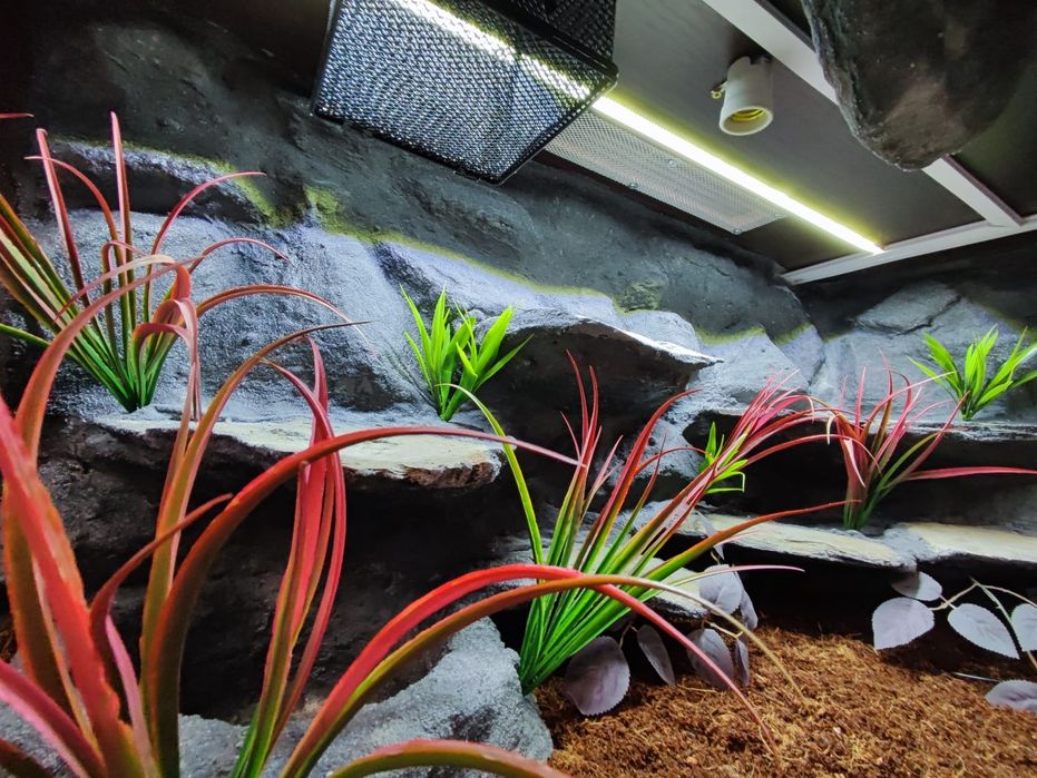 Terrarium 120x50x60 wąż pyton boa PETMARKET