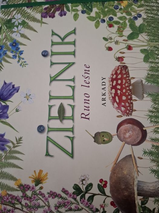 Zielnik Runo leśne