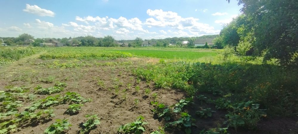 Земельна ділянка та земельна ділянка разом із житловим будинком