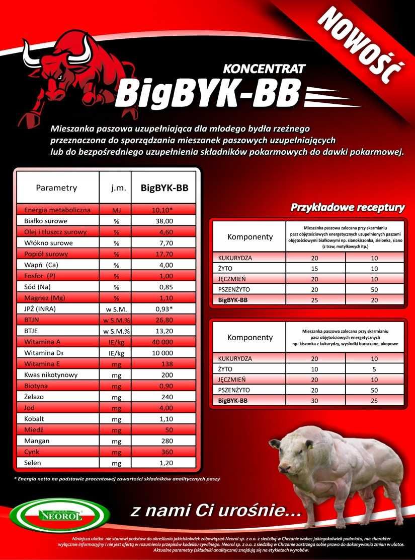 Nowa cena Koncentrat dla opasów byków Big Byk Neorol 1t