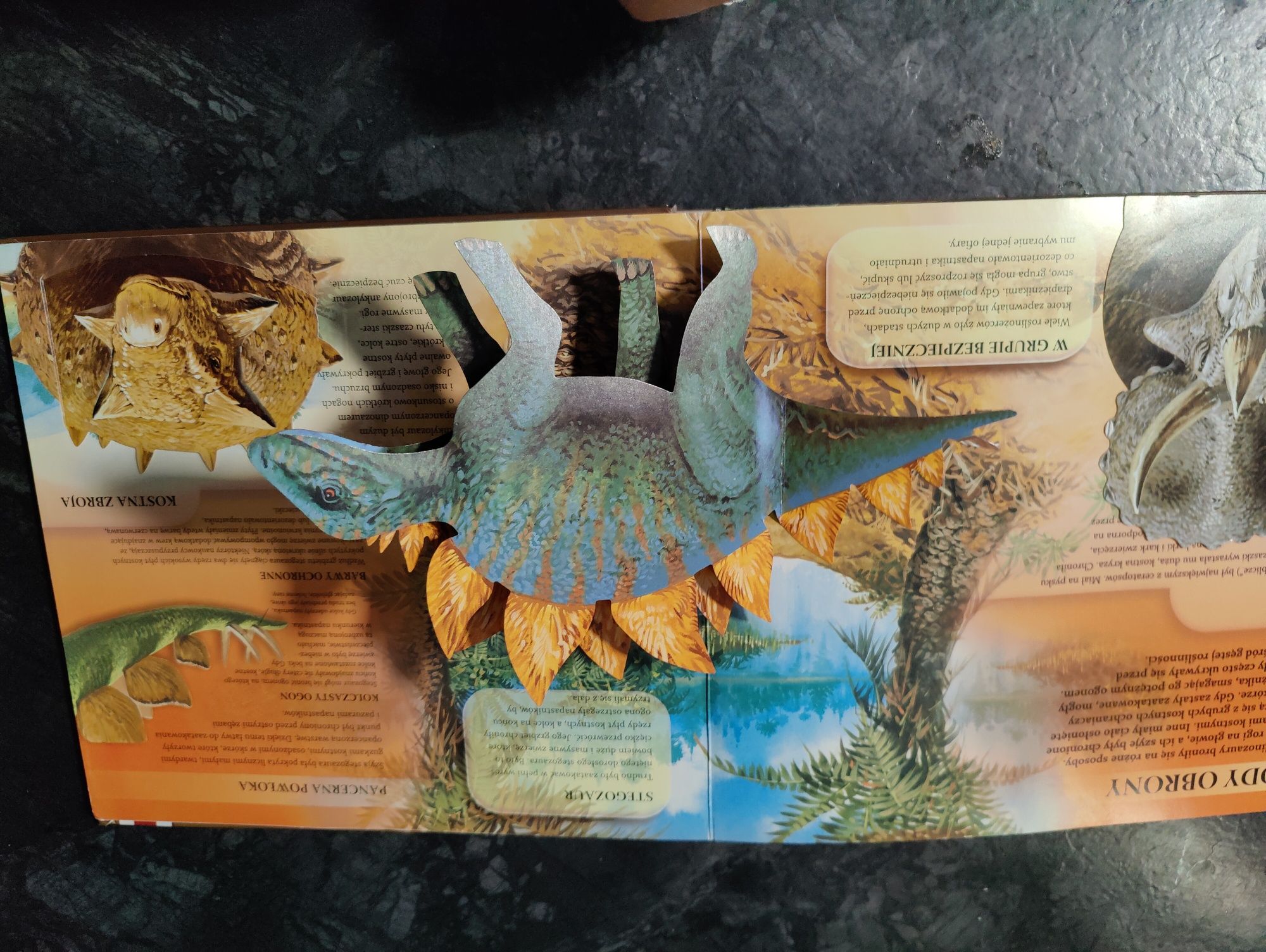Ruch Modele 3D aktywna nauka dinozaury
