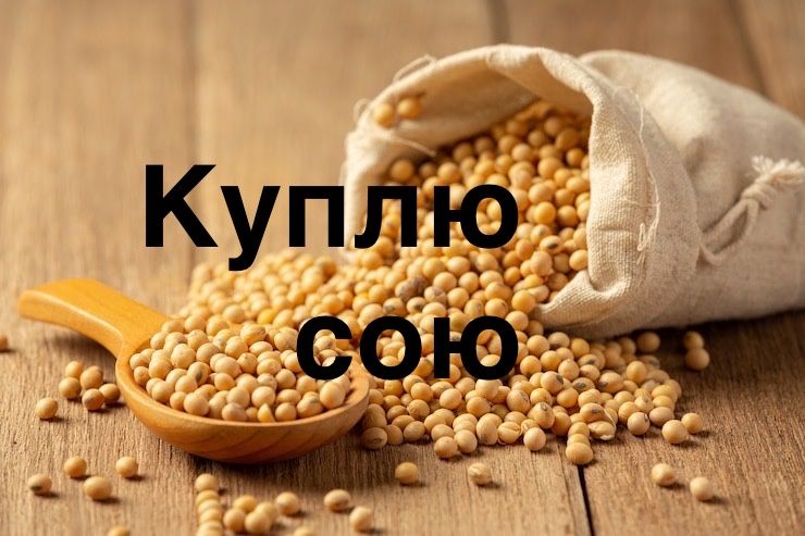 Соя цікавить по західній Україні від 25т. Забираєм своїм транспортом