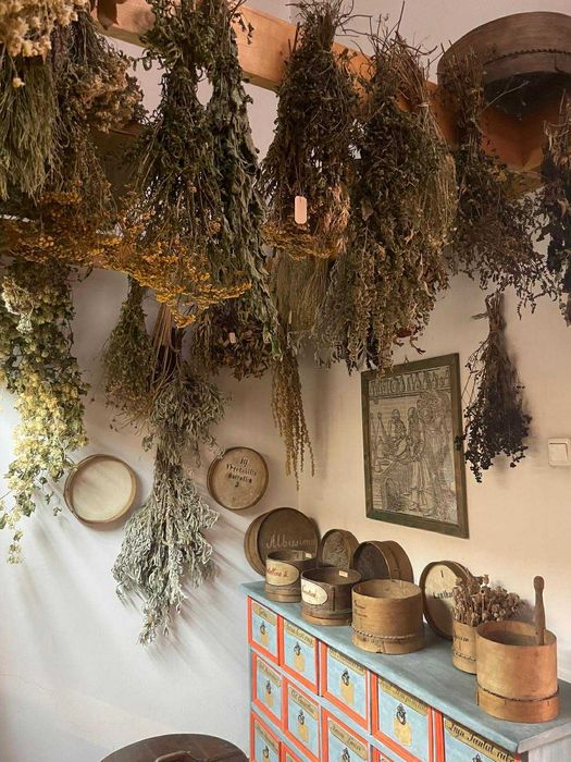 Korepetycje Biologia