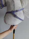 Napiersnik hobby horse