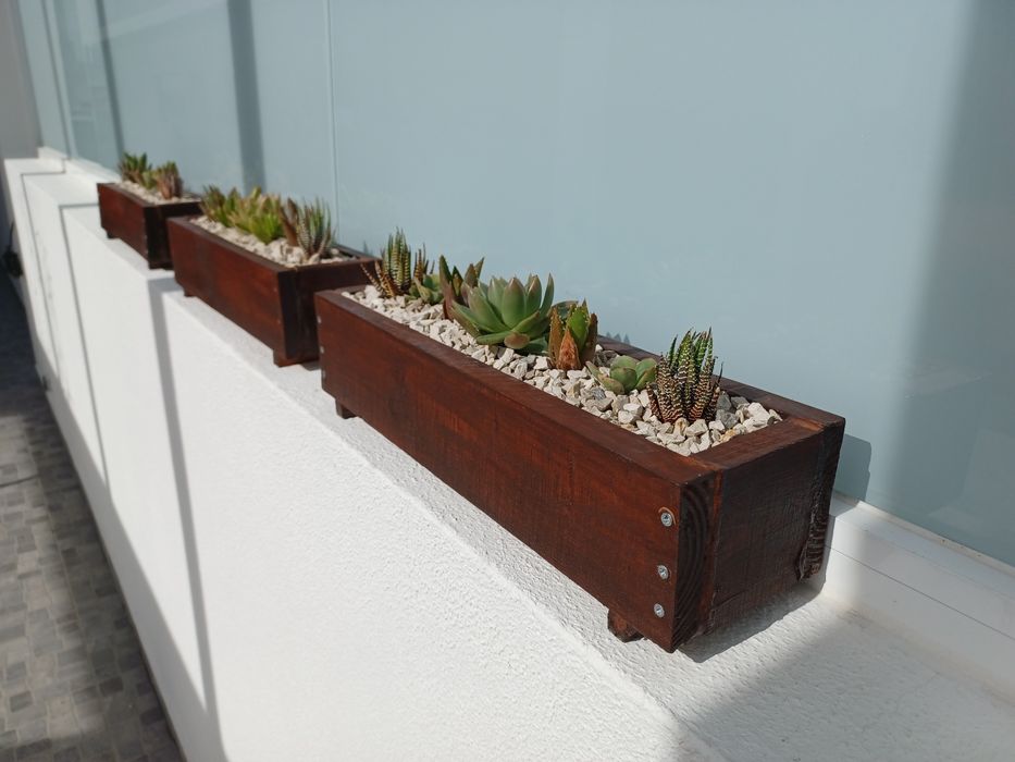Vaso de madeira com 7 cactus (para muros ou janelas)