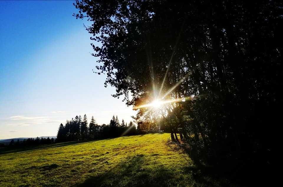Korepetycje z angielskiego dostosowane do Twoich potrzeb