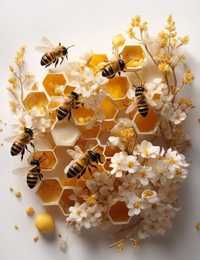 Сім'ї бджіл, бджола, бджолосім'ї', пасіка