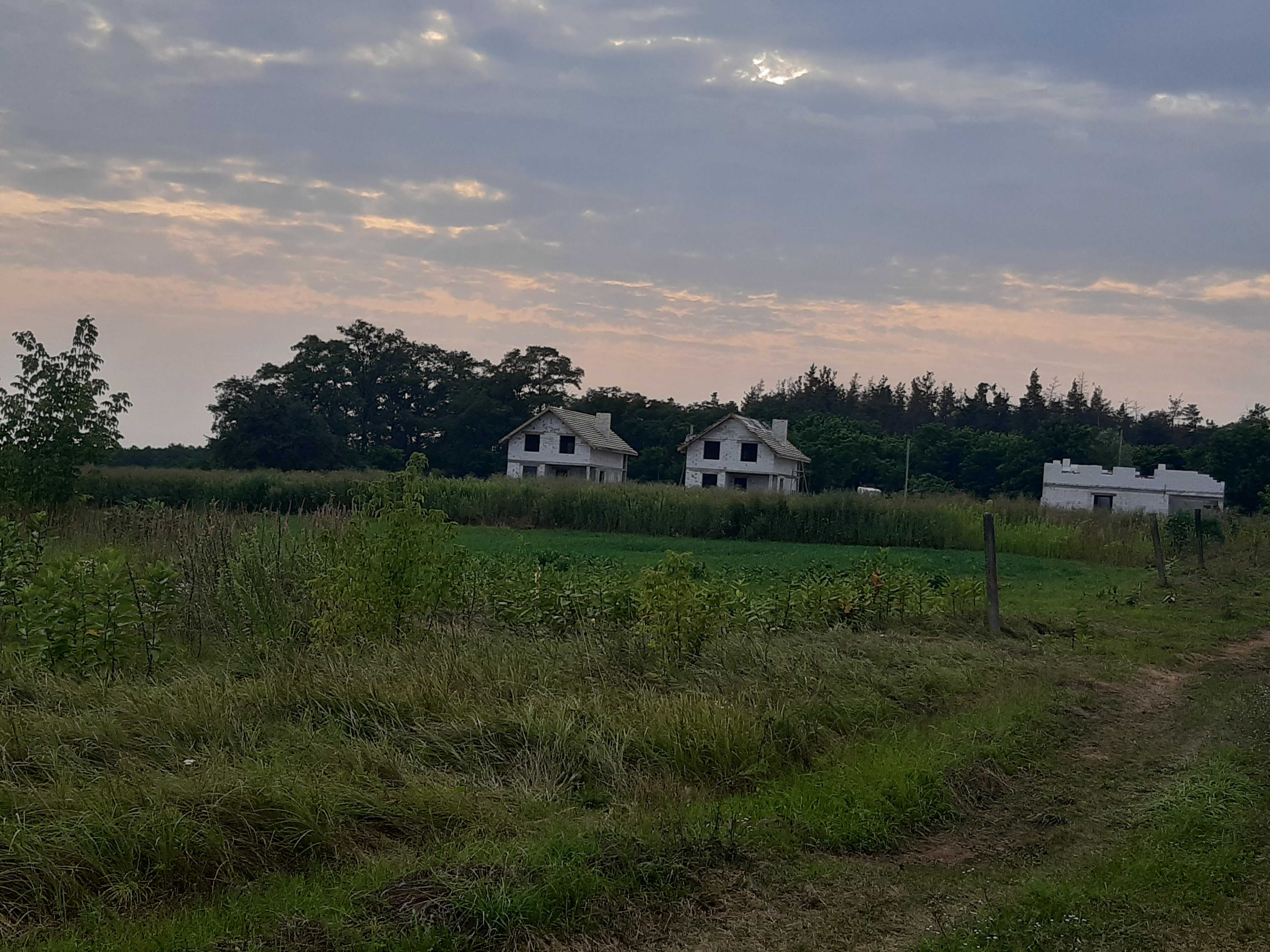 Продам землю в с. Проців, Бориспільський р-н, Київська обл.