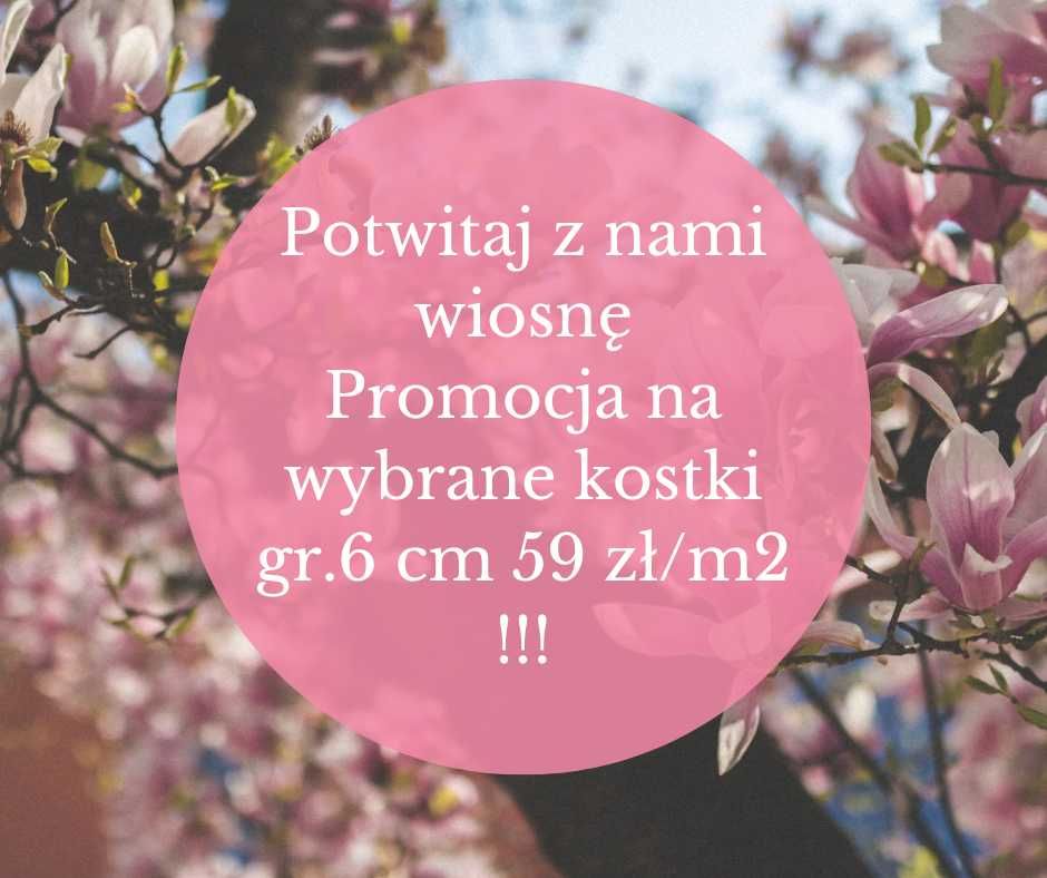 kostka podjazd taras BRUK-BET Kłodawa KONTUR w.dewoński 59,90zł/m2