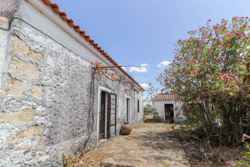 Quintinha de 2.995 m2 c/ moradia V2 e poço.