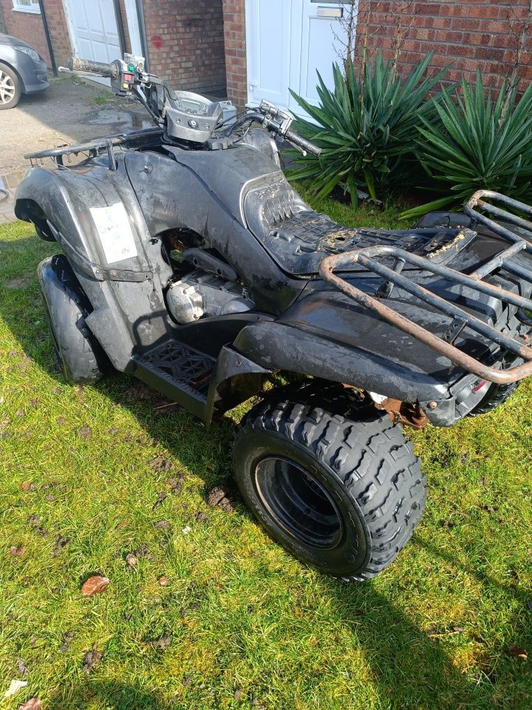 Kawasaki 300 Bruce Force 2019