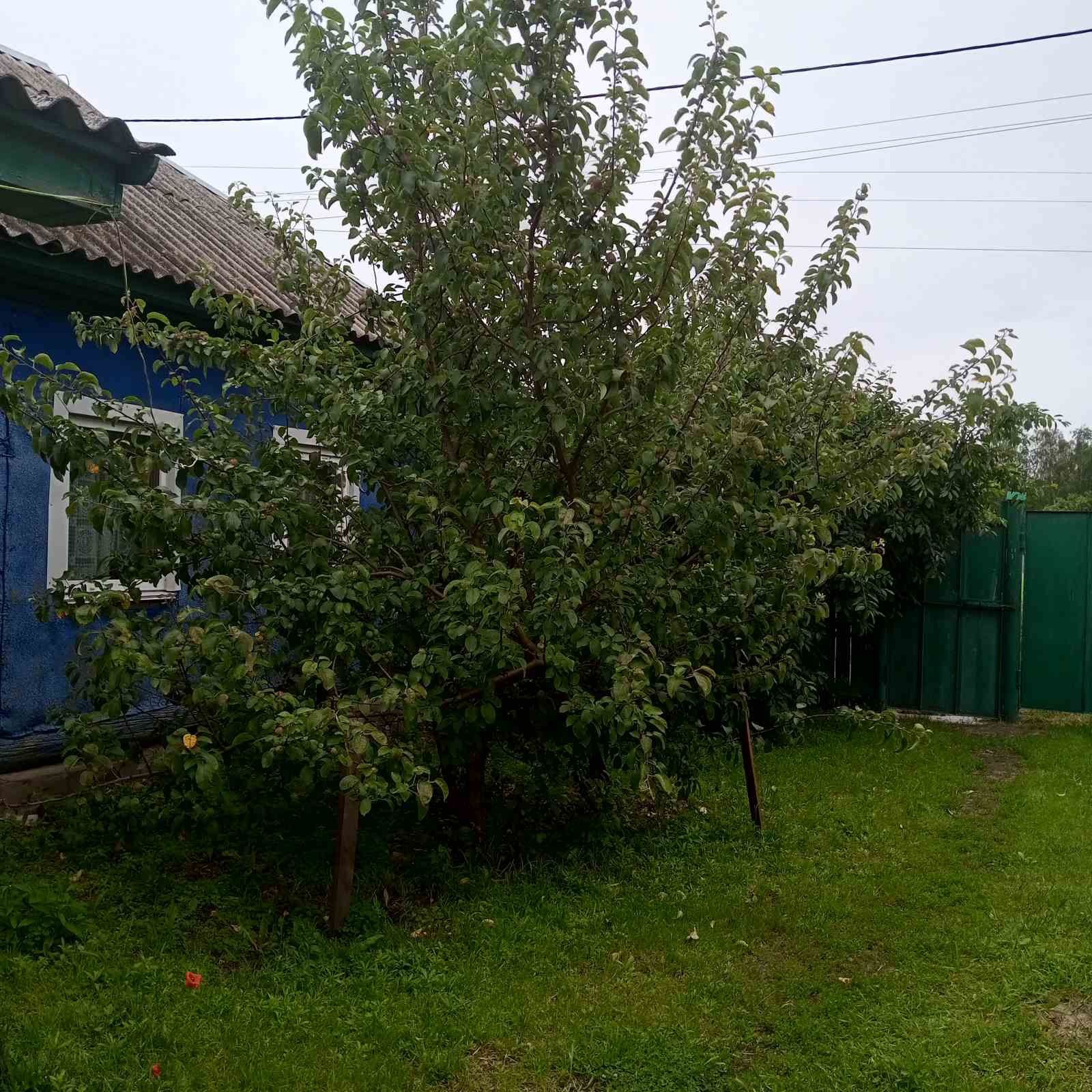 Продам будинок в селі Пухівка.