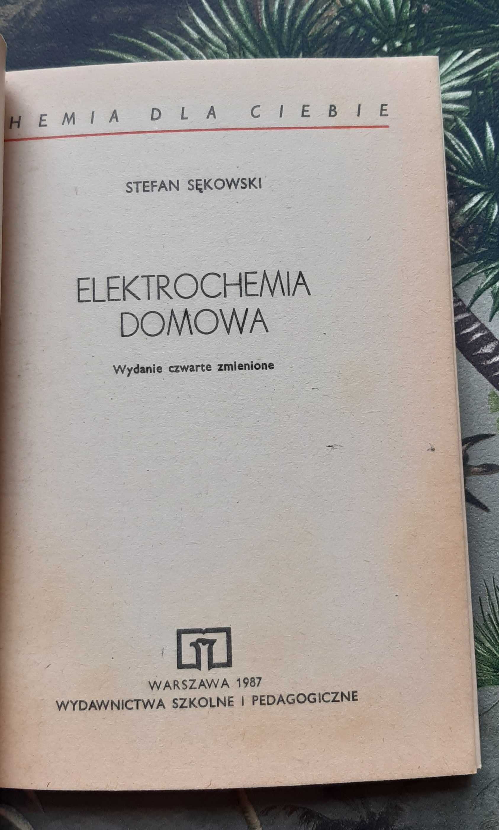 Książka "Elektrochemia domowa" Sękowski