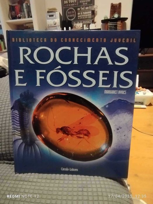 Livro: Rochas e Fósseis - Margaret Hynes