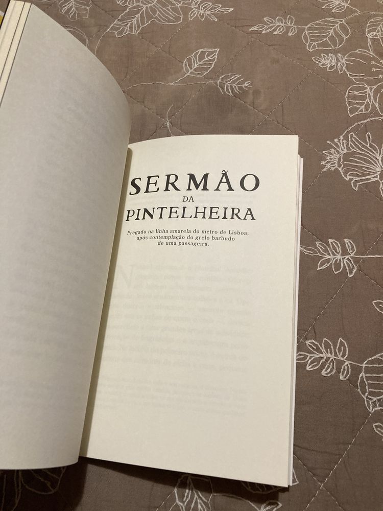 O Meu Pipi Sermões Sexo Humor