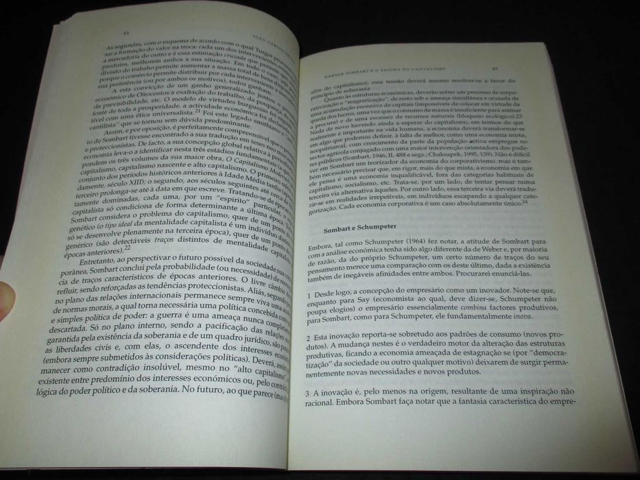 Livro Entre a Economia e a Sociologia Celta