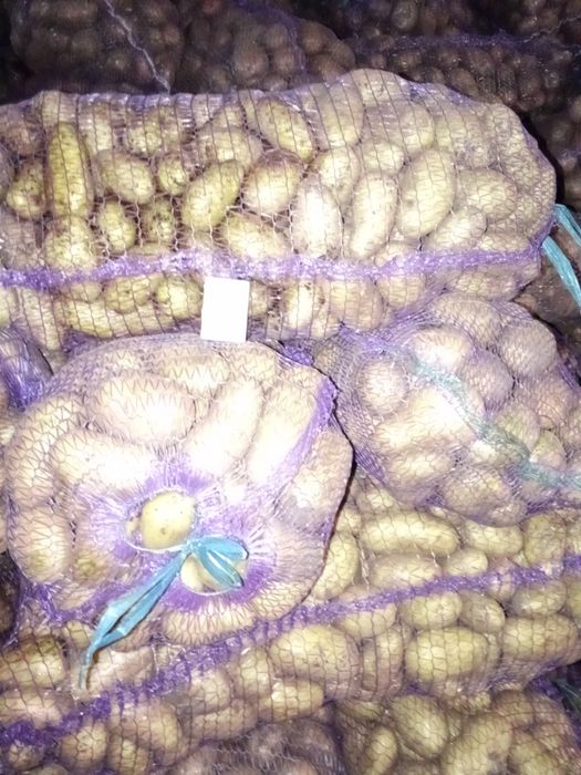 Продам та привезу до Вас картоплю!