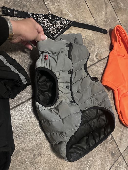 Жилетка комбінезон для француза/мопса М40