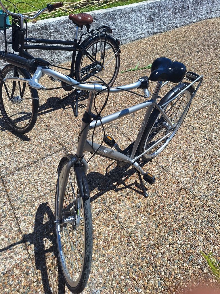 Bicicletas holandesas
